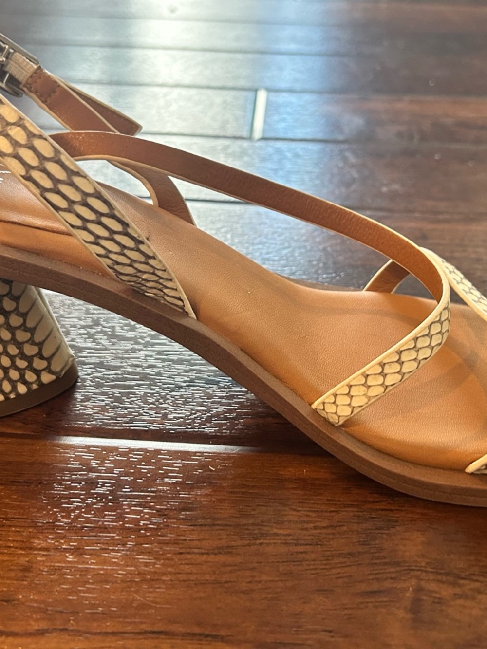 SARTO By Franco Sarto Rache 2 Snake-Print Block Heel Sandals - Picture 7 of 11